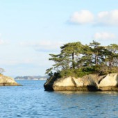 Miyagi và vẻ đẹp đa sắc ngày hôm nay